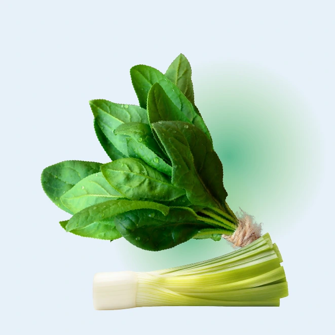 vegetales